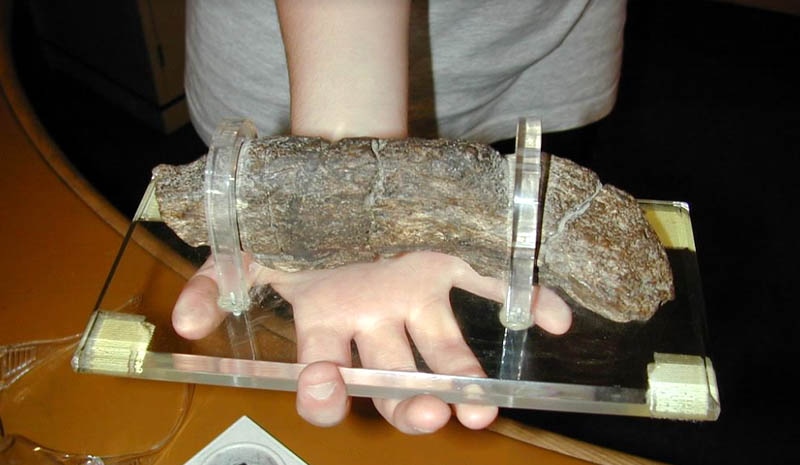 cahtuu's tweet photo. Haber si sabéis que es esto? Lo podéis poner en los comentarios haber si os acercáis. Mide sobre 20 cm de largo y 5 de ancho. Además tiene una porronada de años. #cahtuu #historia #cosascuriosas #curiosidades #curiosity #vikings #vikingos #coprolitos #extremadura #cáceres https://t.co/EOYo5GmB60