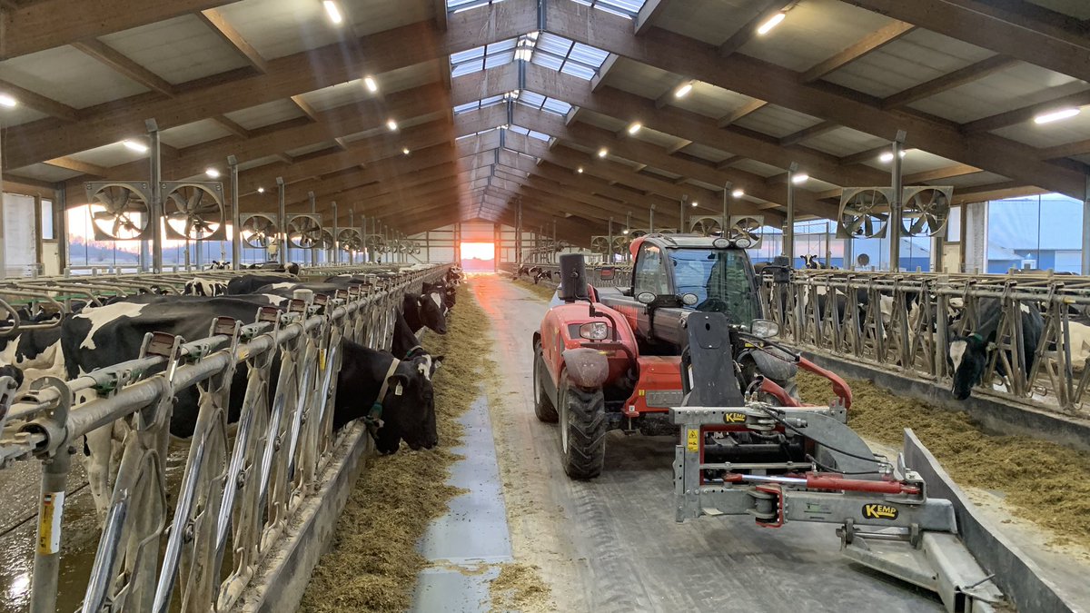 Rick Verhoef tweet media