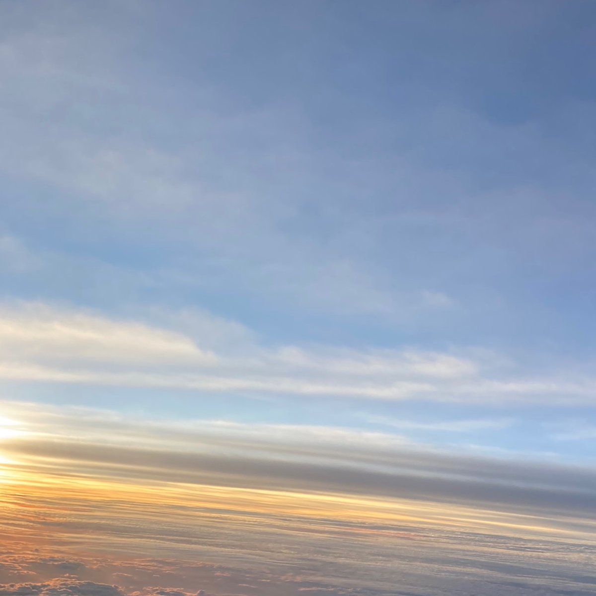 こんばんはみかね
すみません、最近ずっと更新していません。
私ずっと仕事だから⋯⋯
だから私投稿を減らす。
皆さん、お許しください🙇🏻‍♀️