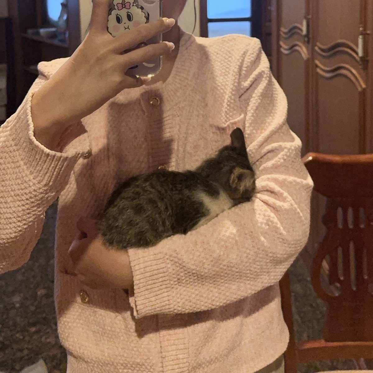 กลับมาจากหาหมอแล้ววว สรุปคือ
-เป็นผู้ชาย 2 เดือน
-หนัก 1 โล
-aka จิ๋วไปก่อน จนกว่าจะคิดชื่อออก
-ชอบมุดแขน เพราะคิดว่าชั้นไม่เห็นเธอ เธอไม่เห็นชั้น(เหมือนมารุ)
-ไม่มีโรคใดๆ แต่รอวัคซีนลิวคีเมียก่อนค่อยเลี้ยงรวม
-วัคซีนเบสิก+หยดหลังคอเรียบร้อย 
-รอผลเลือดพรุ่งนี้
-ช้อปปิ้ง+หาหมอ