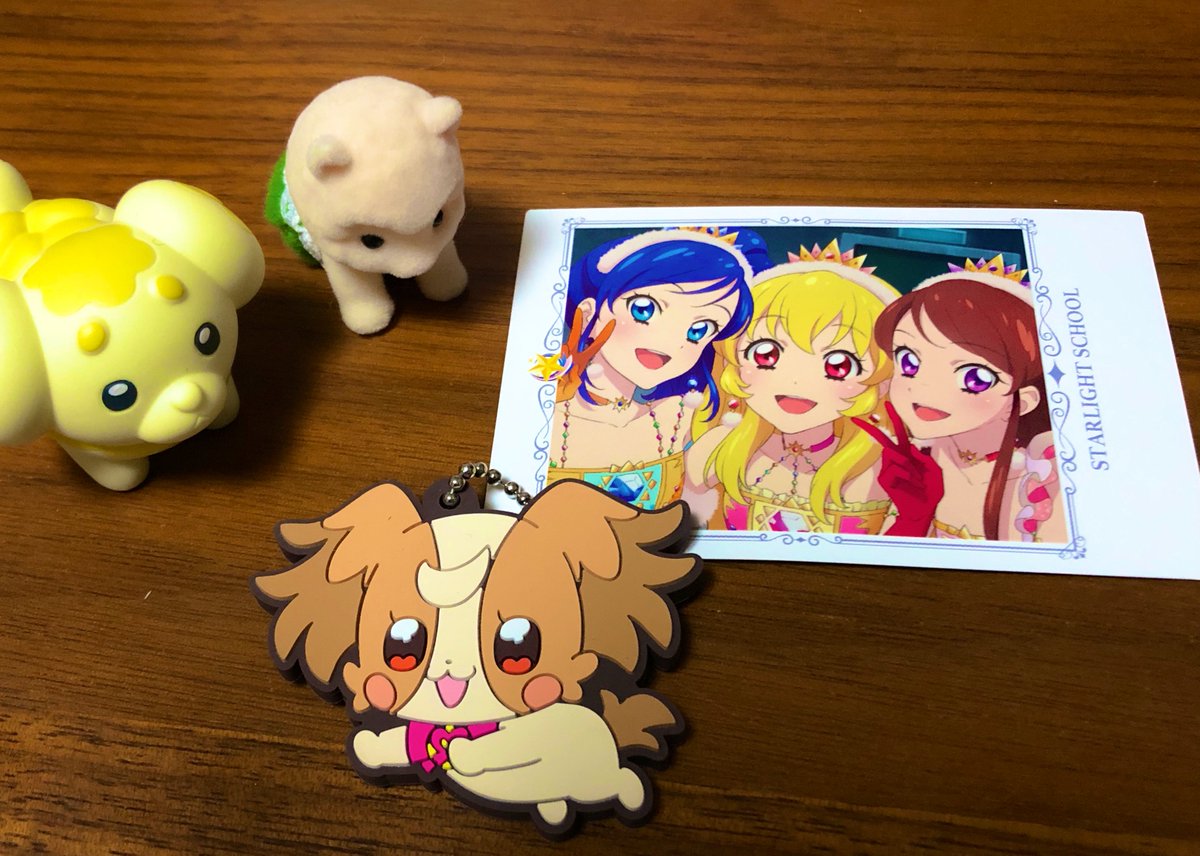 isakowave's tweet photo. ソレイユと犬と犬と犬でなくアルパカ https://t.co/B0wQaWtA3l
