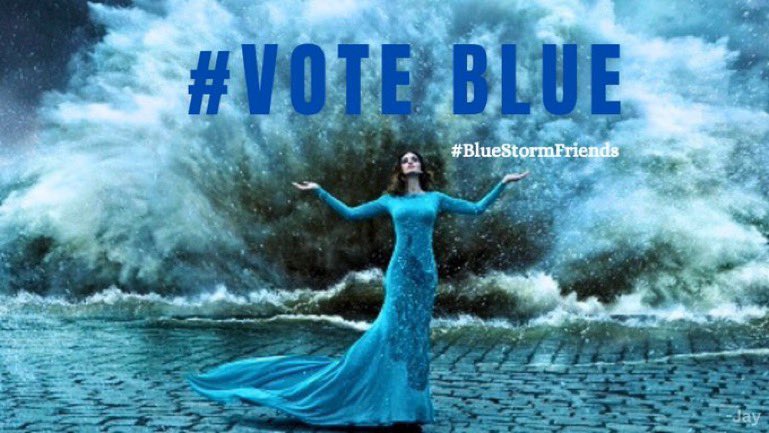 @BlueStormComin1 Good morning, Beth 💙 🌊  #VoteBlueProtectWomensRights 🌊