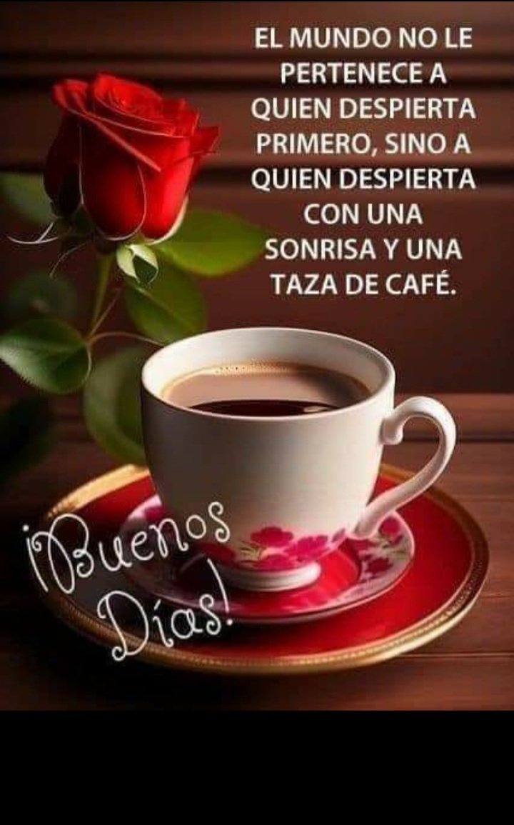 BLANCA ESTELA BERMUDEZ NAVARRETE (@estela_bernav) on Twitter photo 