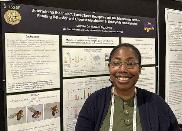 Sally G Pasion (@sgpombe) on Twitter photo Love when a student presents their work & you have a “that’s an unexpected result” moment (at second #TAGC24 Poster Session)! Excited to hear rest of #Drosophila sweet taste receptor story from Mikesha Carter @SFStateBIO <a href="/Riggslab/">Blake Riggs</a> MS student! <a href="/SEO_SFSU/">Student Enrichment Opportunities (SEO)--SF State</a> <a href="/SFSU/">SF State</a> <a href="/calstate/">The CSU</a> #Diabetes Love when a student presents their work & you have a “that’s an unexpected result” moment (at second #TAGC24 Poster Session)! Excited to hear rest of #Drosophila sweet taste receptor story from Mikesha Carter @SFStateBIO <a href="/Riggslab/">Blake Riggs</a> MS student! <a href="/SEO_SFSU/">Student Enrichment Opportunities (SEO)--SF State</a> <a href="/SFSU/">SF State</a> <a href="/calstate/">The CSU</a> #Diabetes