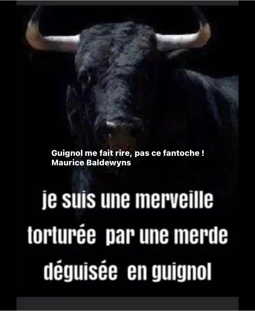 animaux_planete's tweet photo. Je suis une merveille torturée par une merde déguisée en guignol 😔😔 https://t.co/t5dx5LZrum