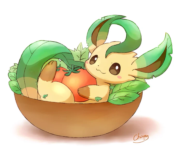 サラダ 