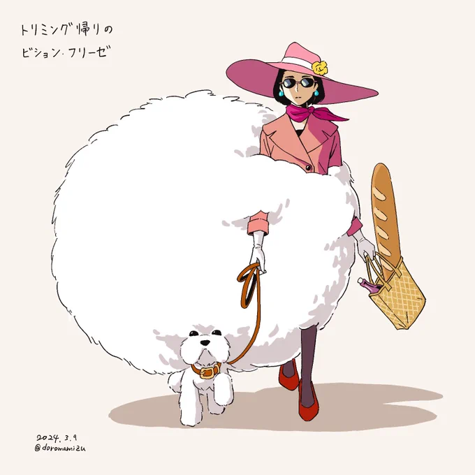 トリミング帰りのビションフリーゼ 