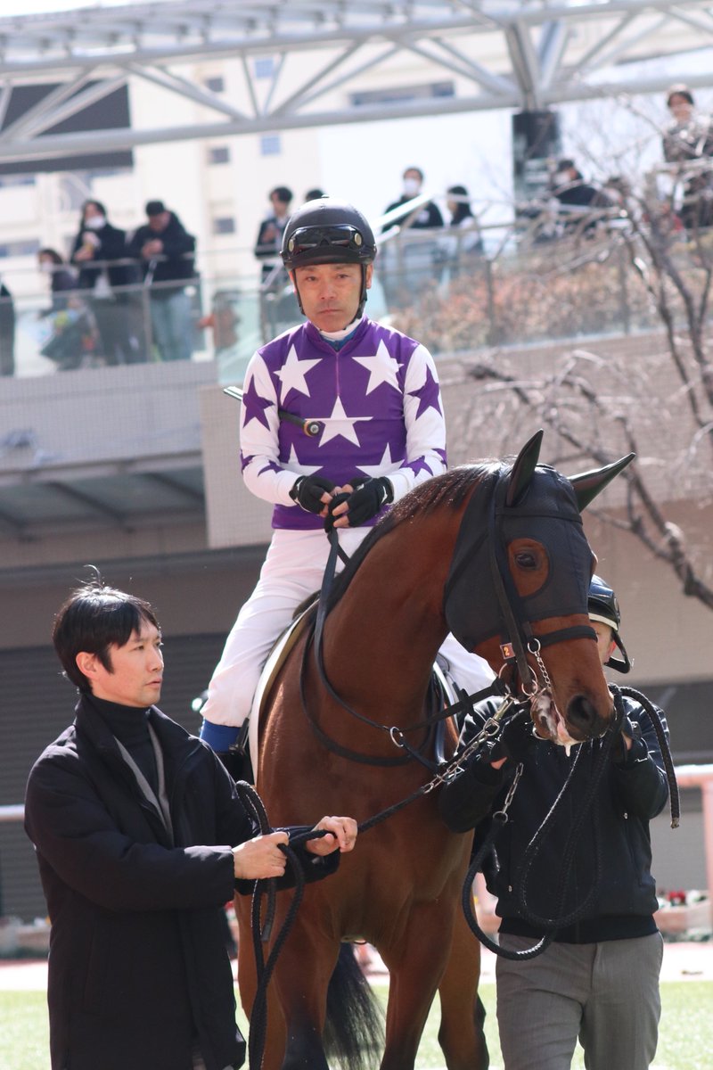 tsugutsugunyna's tweet photo. サンライズフランツ号＆岡田祥嗣騎手

2024.3.9阪神2R
#���ンライズフランツ
#岡田祥嗣
#小林真也厩舎 https://t.co/8gstIhcCvI