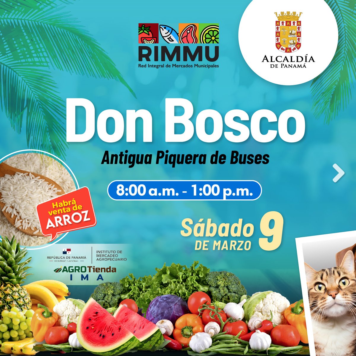 Panamaalcaldia's tweet photo. ¡Hoy, ven disfruta de la Feria RIMMU en Don Bosco! 🌈 Descubre lo mejor de nuestros emprendedores locales, productos únicos y momentos de diversión. Te esperamos en la antigua Piquera de Buses de 8:00 am a 1:00 pm ¡Apoya y celebra lo nuestro! 

#FeriaRIMMU #Emprendedoreslocales https://t.co/utwZJ2vJC8