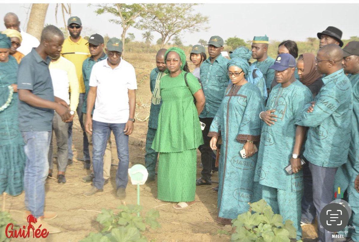 Hawa Sylla Diallo tweet media