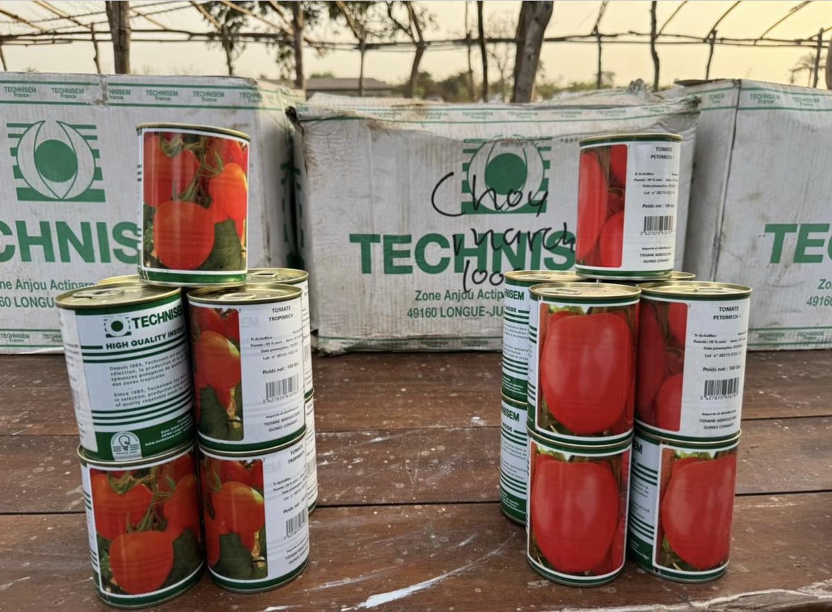 La femme rurale jouant un rôle essentiel dans le secteur agro-pastoral, @magelguinee a célébré la JIF avec les femmes maraîchères de kindia qui ont bénéficié des appuis du PARFA. Bonne fête à ces braves femmes et à celles qui contribuent au quotidien à la sécurité alimentaire