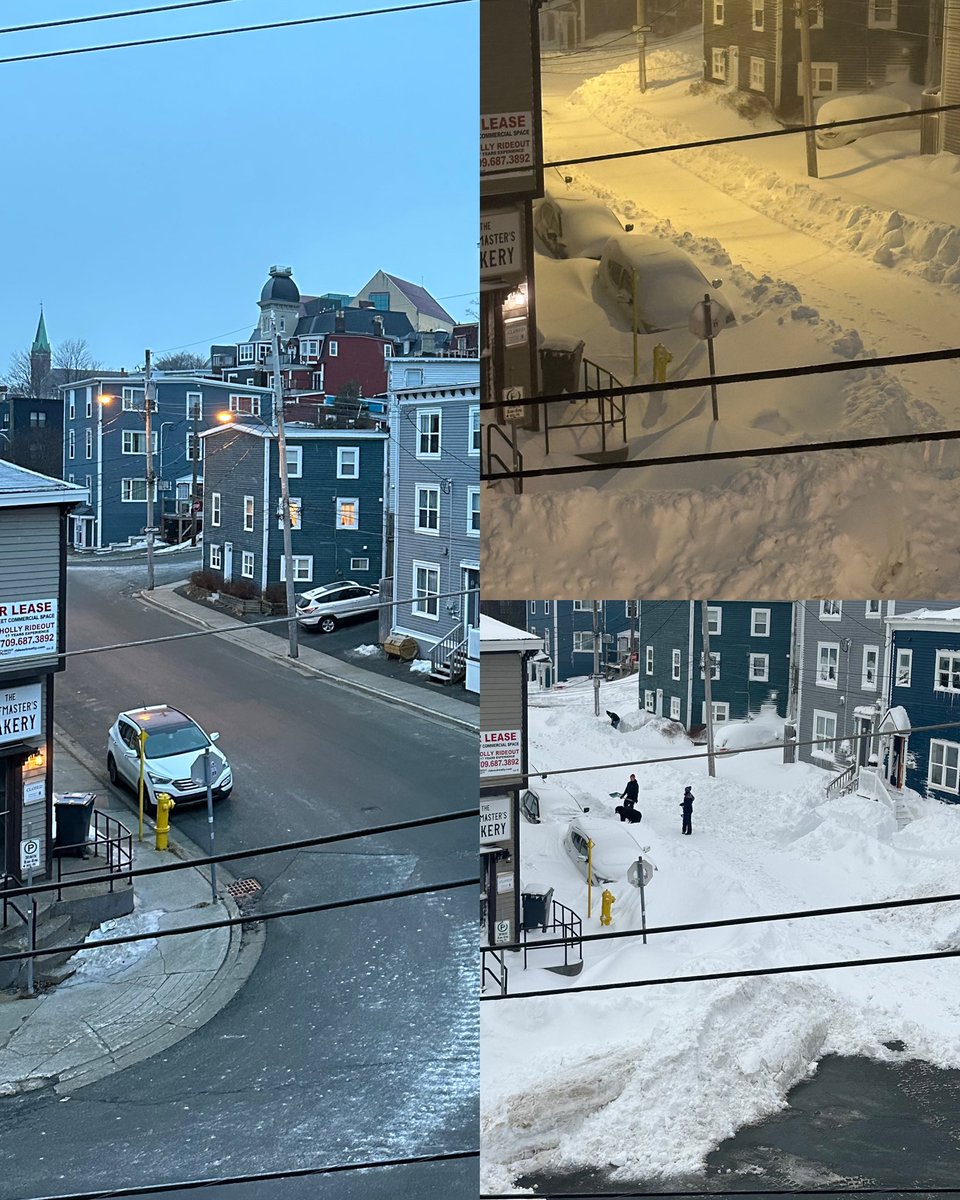 vicky 🇨🇦 tweet media