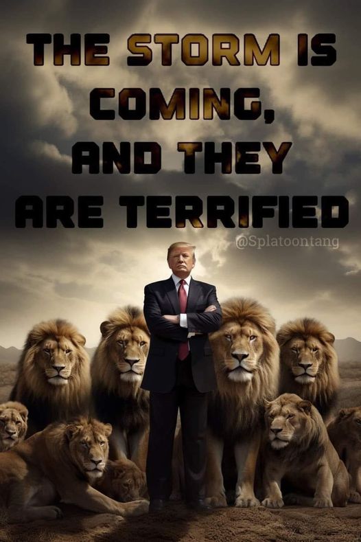🇺🇸💯 % TRUMP 2024‼️🇺🇸 The Storm Is Brewing Within Every American Patriot ! The LibTards And Evil Demon Rats Are Terrified As They Know Their Time Is Coming To An End! The Looters Of Our Great Country Will Soon Stand Trial For Their Crimes Against The American People! TRUMP 2024!