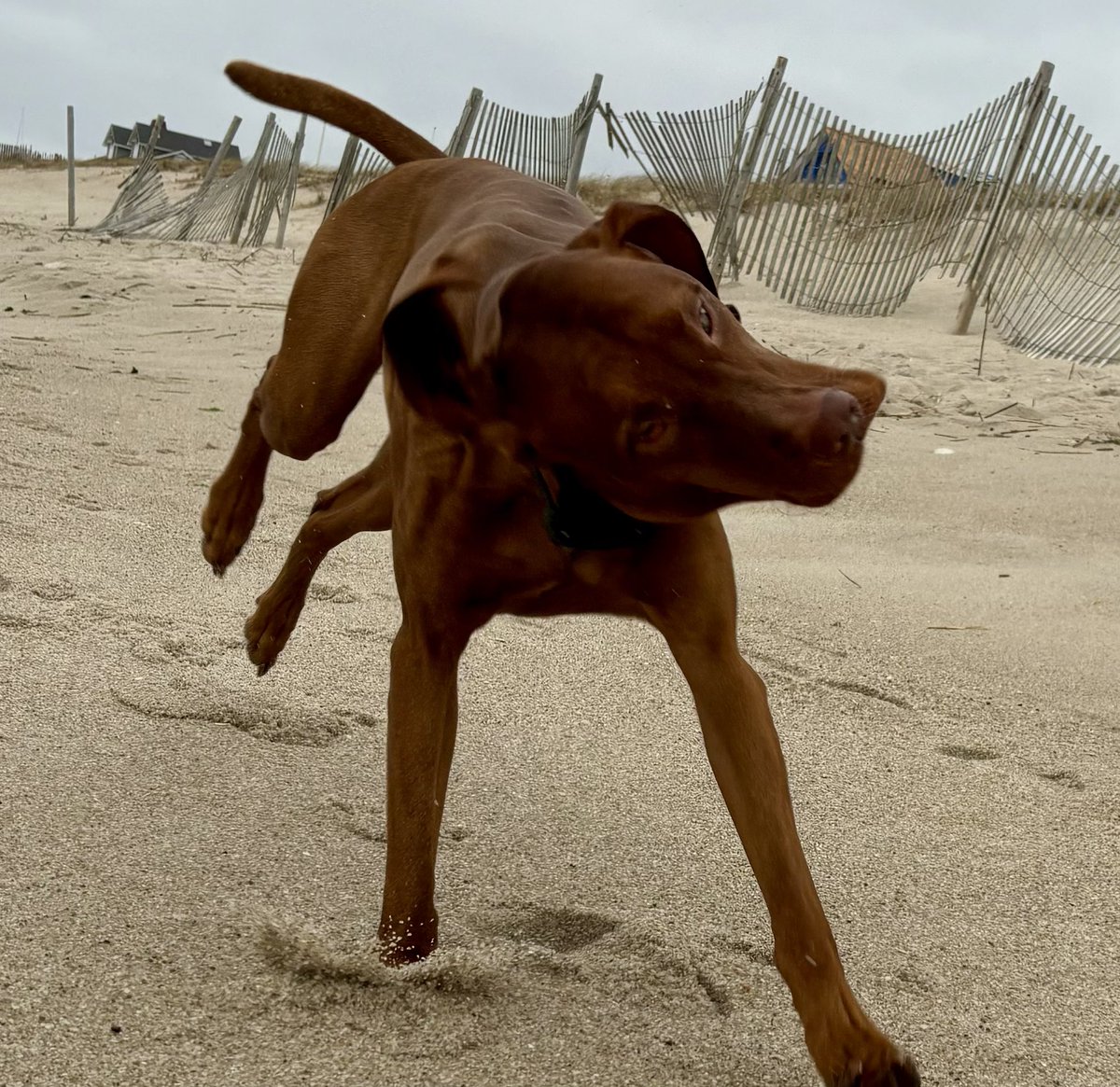 What we look like after that week!