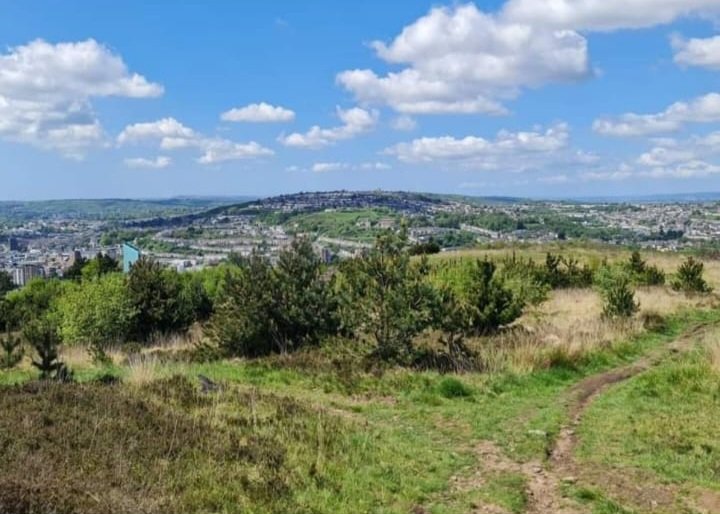 Save_Kilvey_Hill tweet media