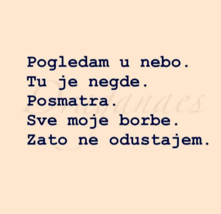 ЅВЕЗДА💫 tweet media