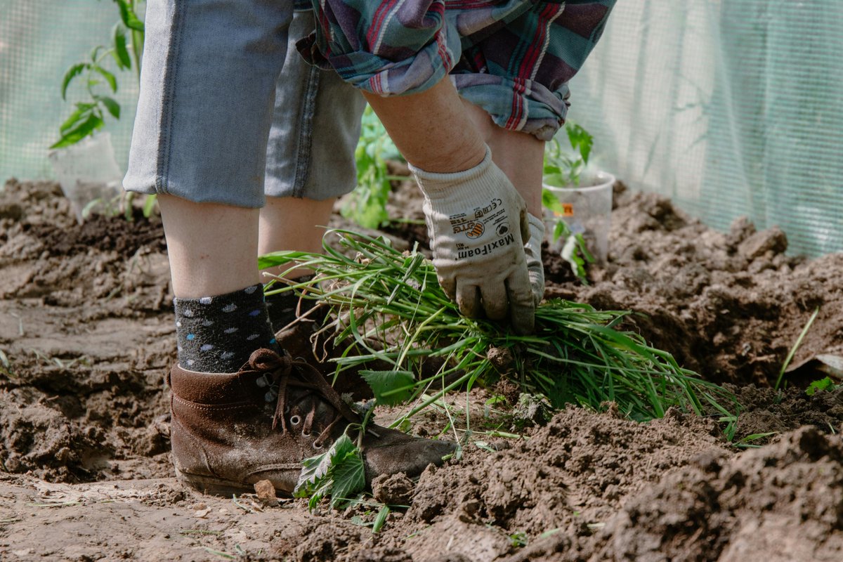 Join SWACO team members on March 17th at Westerville Public Library’s Backyard Composting 101 Workshop to learn how to make fertilizer from organic waste and how to create a year-round problem-free composting system. 🌿 Register today: ow.ly/fVkN50QNQxM #composting101