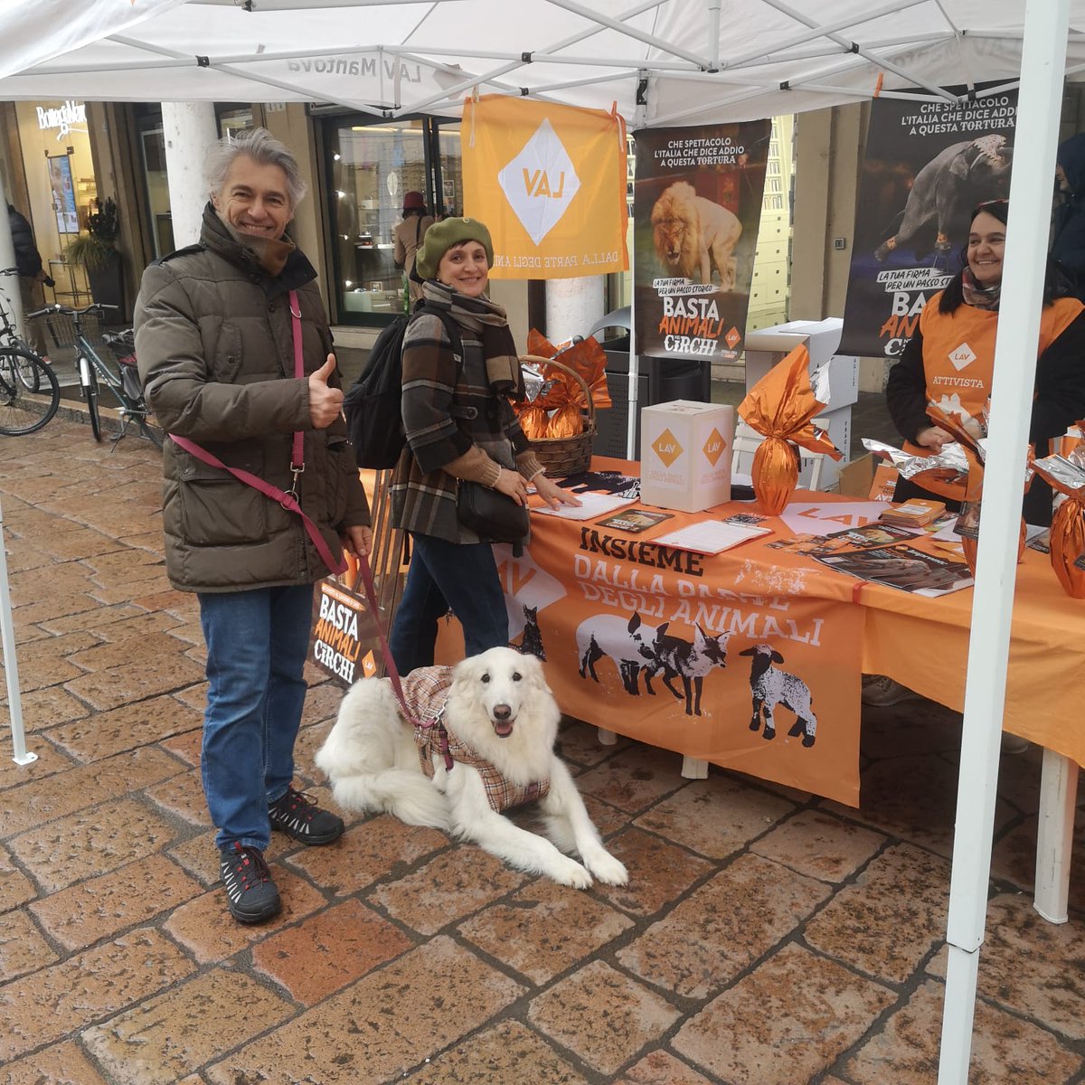 LAV_Italia's tweet photo. Nonostante la pioggia, siamo in tanti in varie piazze d'Italia a dire #BastaAnimaliNeiCirchi!

Vieni anche tu e firma la petizione per chiedere di fermare per sempre l'uso degli animali nei circhi! Scopri dove trovarci👉https://t.co/AiFFo2yFS8

Grazie a tutte le @LAVSediLocali! https://t.co/6EW8hwRIWR