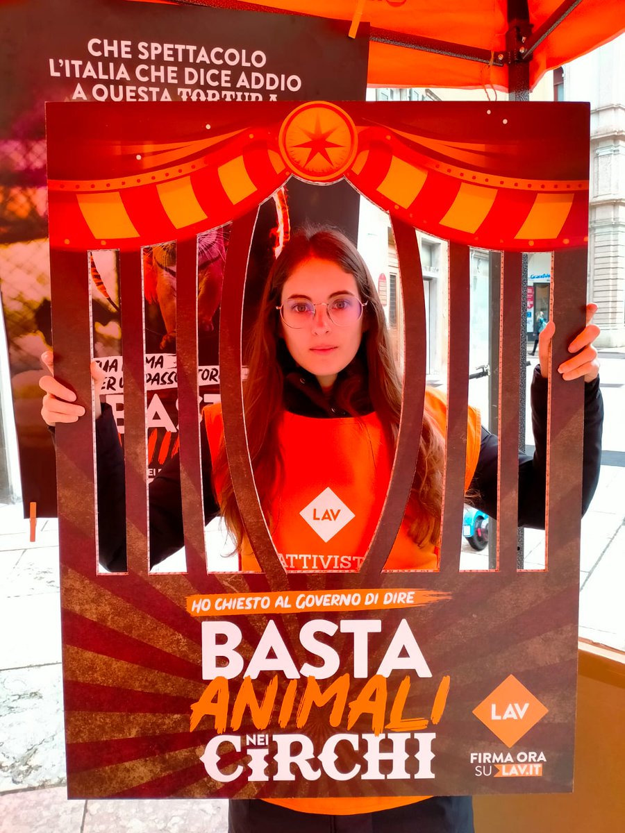 LAV_Italia's tweet photo. Nonostante la pioggia, siamo in tanti in varie piazze d'Italia a dire #BastaAnimaliNeiCirchi!

Vieni anche tu e firma la petizione per chiedere di fermare per sempre l'uso degli animali nei circhi! Scopri dove trovarci👉https://t.co/AiFFo2yFS8

Grazie a tutte le @LAVSediLocali! https://t.co/6EW8hwRIWR