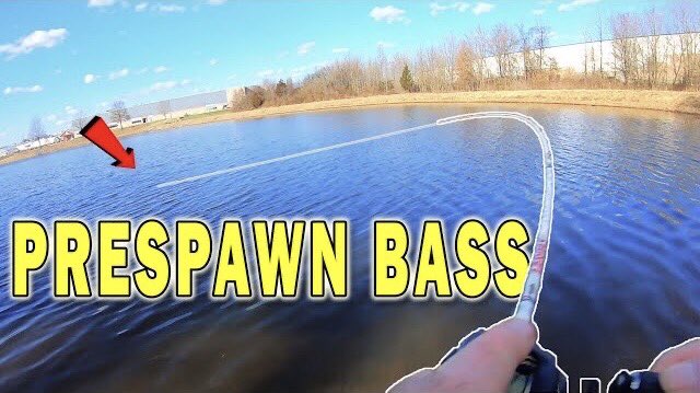 FishyAngler's tweet photo. New VIDEO: https://t.co/9WwCcTeOj8
I went out for prespawn bass fishing with live minnows. But they preferred casing crankbaits instead.
#fishyangler #fishing #bassfishing #fishinglife #delawarefishing #springfishing #largemouthbassfishing https://t.co/XPtKDUC8Io