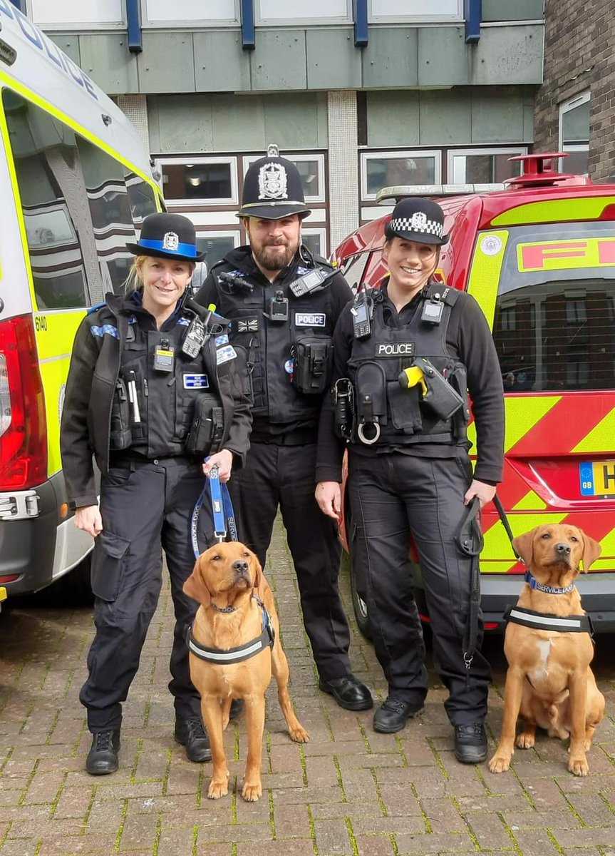 Hants_IOW Fire Dogs tweet media