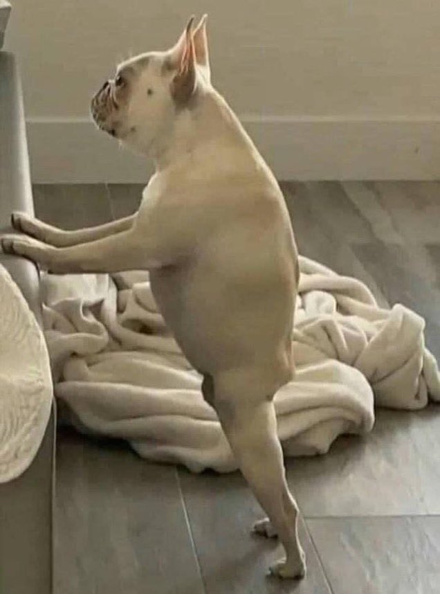 No Context Brits tweet media