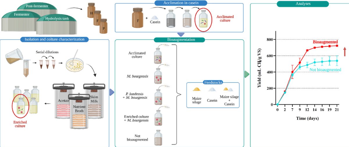 WOW! Our paper is out! If you would like to know more on #bioaugmentation strategies based on bacterial and #methanogenic cultures to relieve stress in #anaerobic #digestion of #protein-rich substrates you can check it! sciencedirect.com/science/articl… @DiBio_UniPD @LauraTreu @kougias