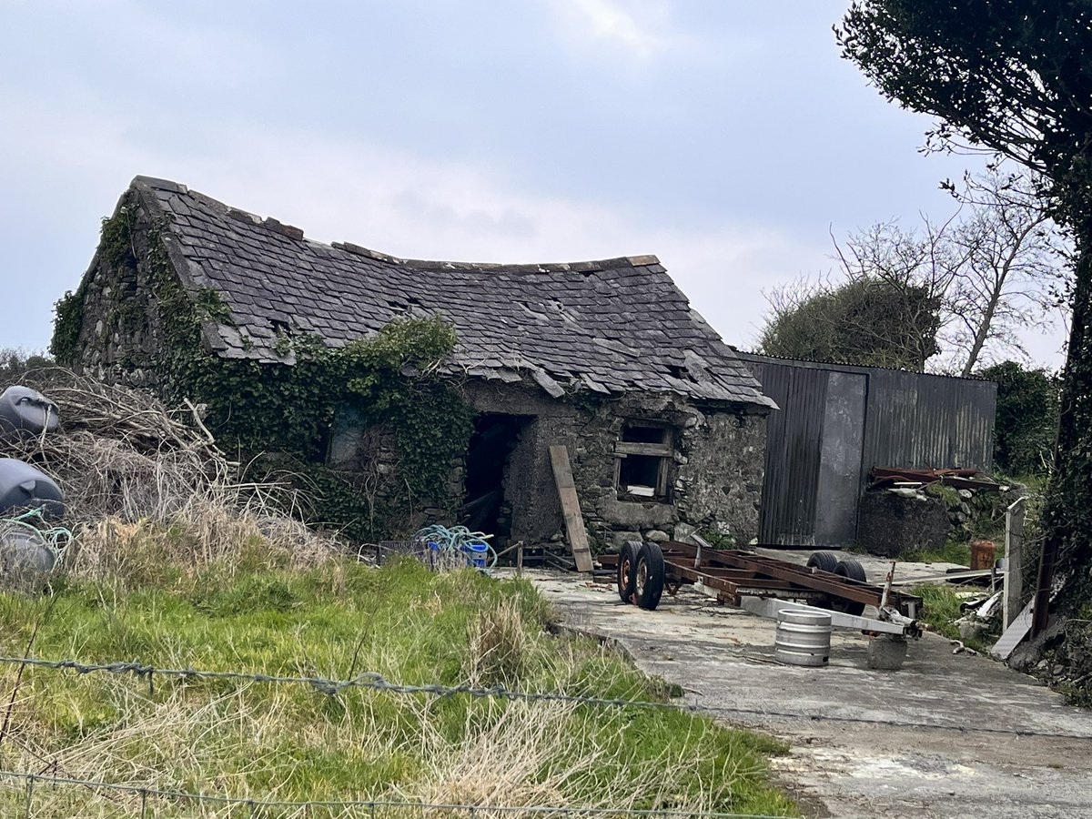 lisa_g_dub's tweet image. on whiddy island after giving a talk to postgrads on oil &amp;amp; architecture - the publican is Tadhg Furlong’s uncle so we’re having a tense #IRLvENG…