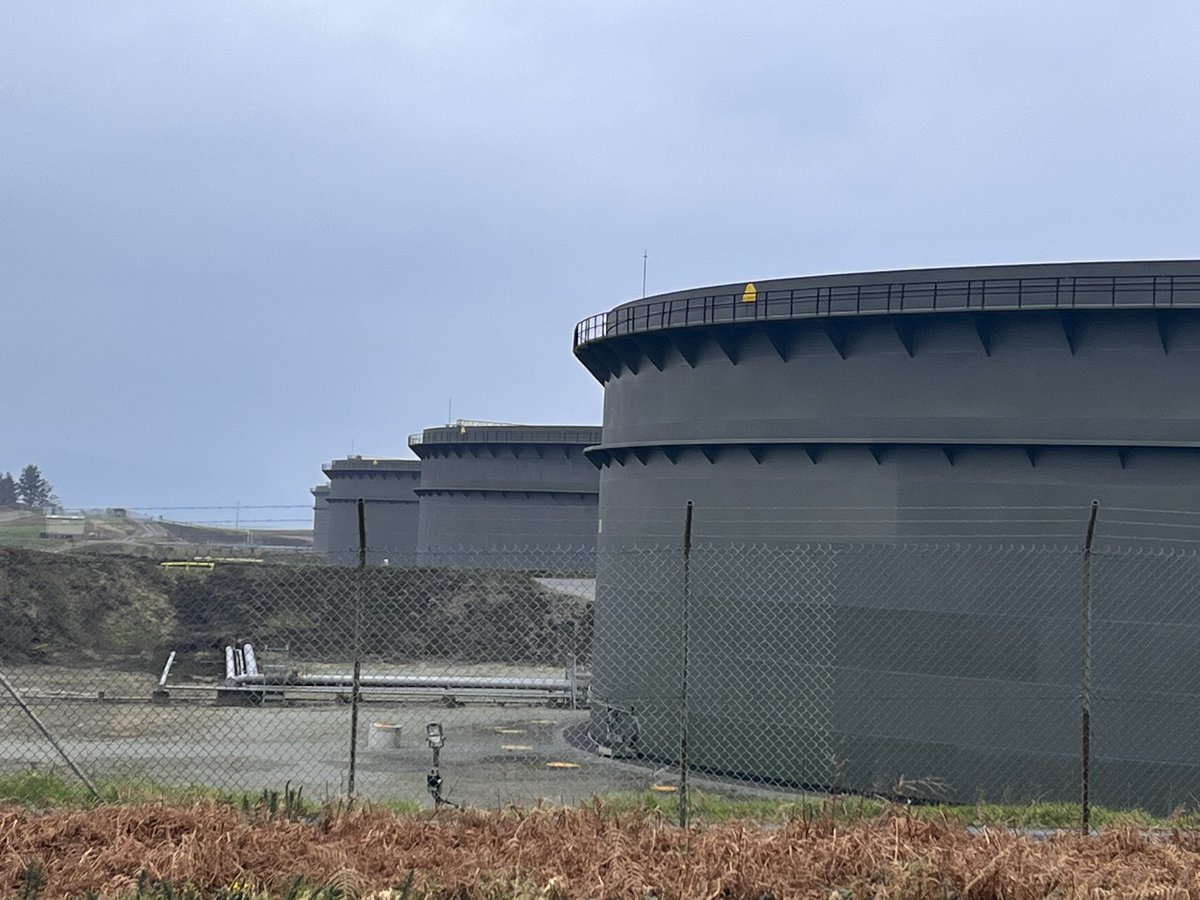 lisa_g_dub's tweet image. on whiddy island after giving a talk to postgrads on oil &amp;amp; architecture - the publican is Tadhg Furlong’s uncle so we’re having a tense #IRLvENG…