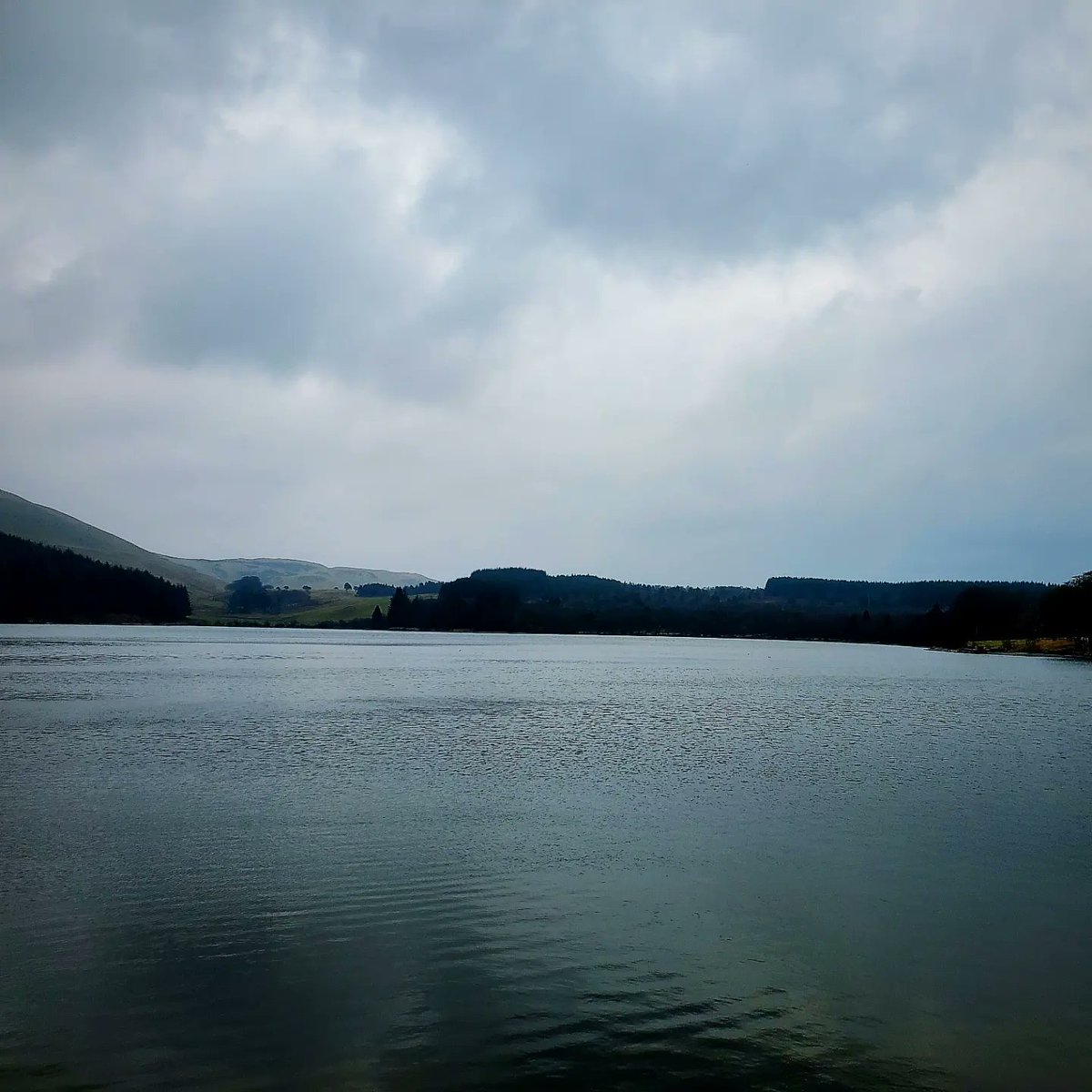 Portmore Reservoir circular walk #ScottishBorders #Portmoreloch #walkingtrails