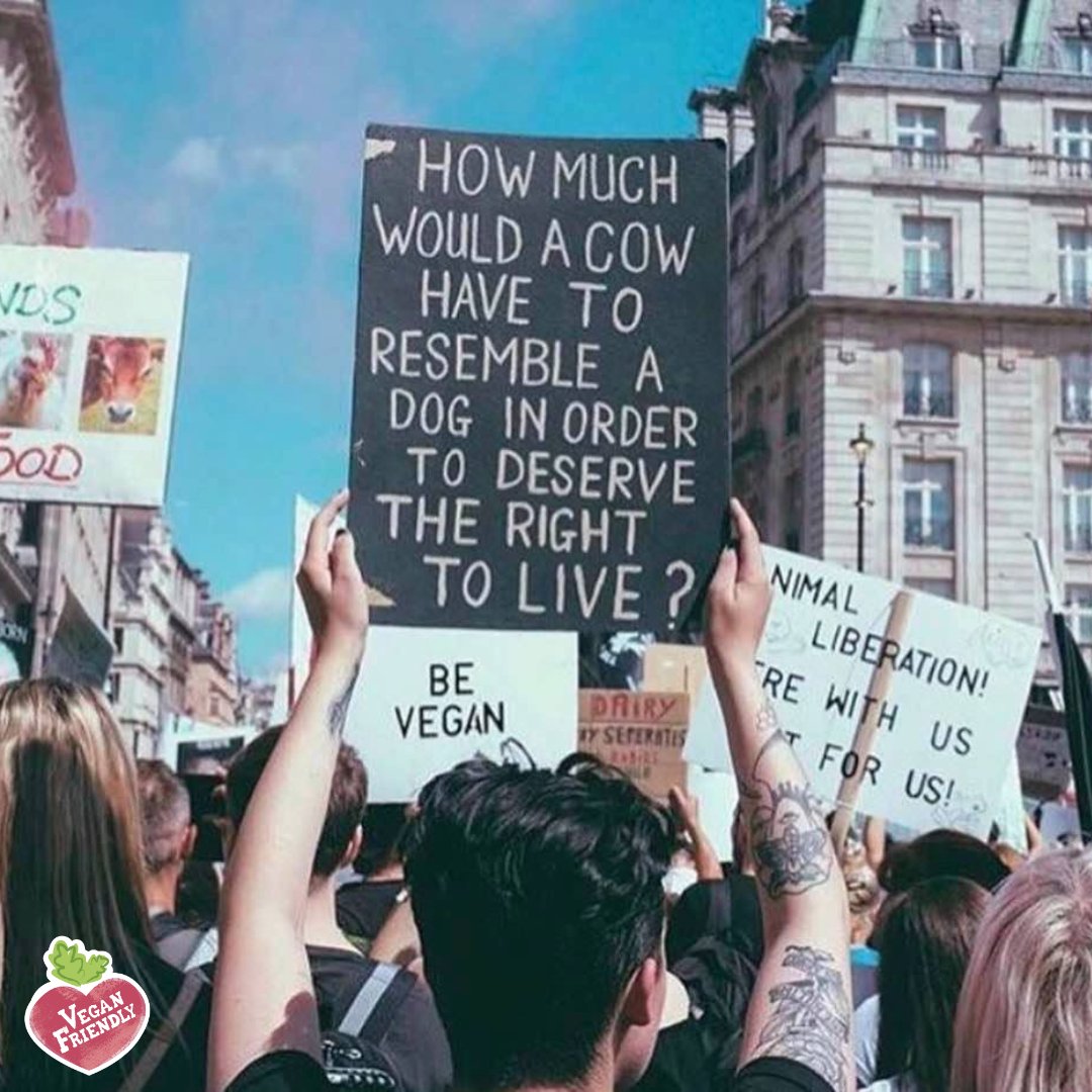 All animals have the right to a wonderful life 🌎

Like if you agree!!