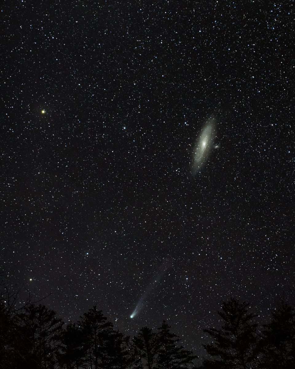 And here’s another snapshot of the comet I took at the same time as the closeup. You can see in this one the context of Andromeda, Mirach, and my tree line. #Astrophotography