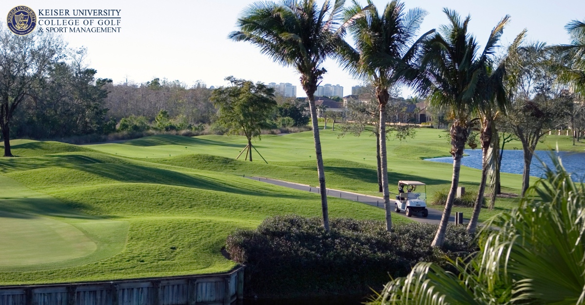 collegeofgolf's tweet image. Cheers to the weekend! 🎉 Whether you're hitting the links or enjoying some downtime, make it memorable. What are your weekend golf plans? #WeekendVibes #GolfTime