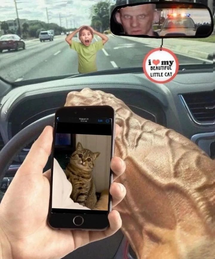 Punch Cat tweet media