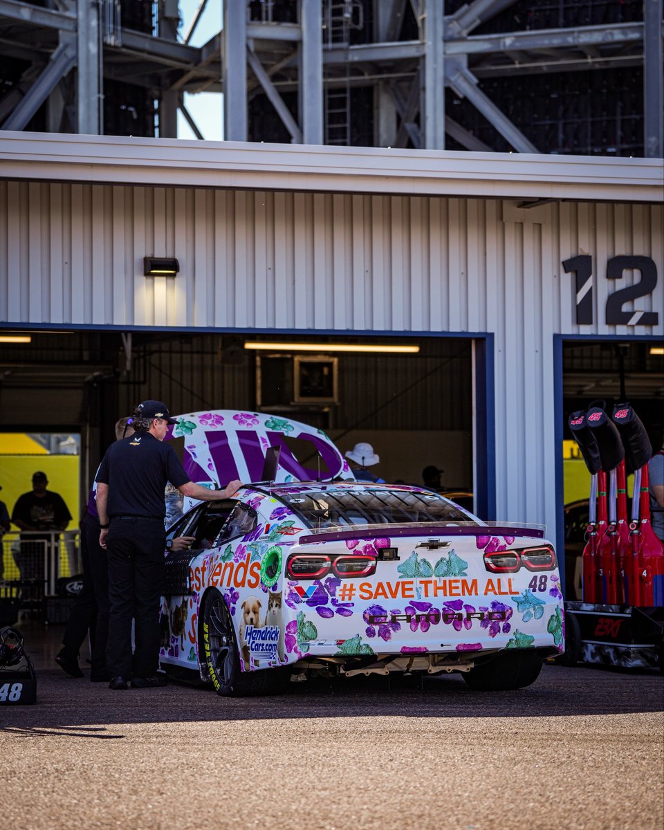NASCAR's tweet photo. We need more race cars with cats and dogs on them. Right, @Alex_Bowman? 🤔 https://t.co/jqlnS7izA2