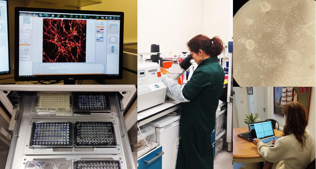 As part of the #BritishScienceWeek, here is the summary of a week in a neuroscientist life: growing and imaging motor neurons to study motor neuron disease. #InternationalWomensDay2024. #BSW2024 #WomenEmpowerment