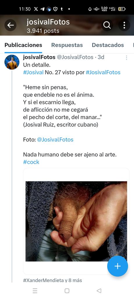josivalFotos tweet media