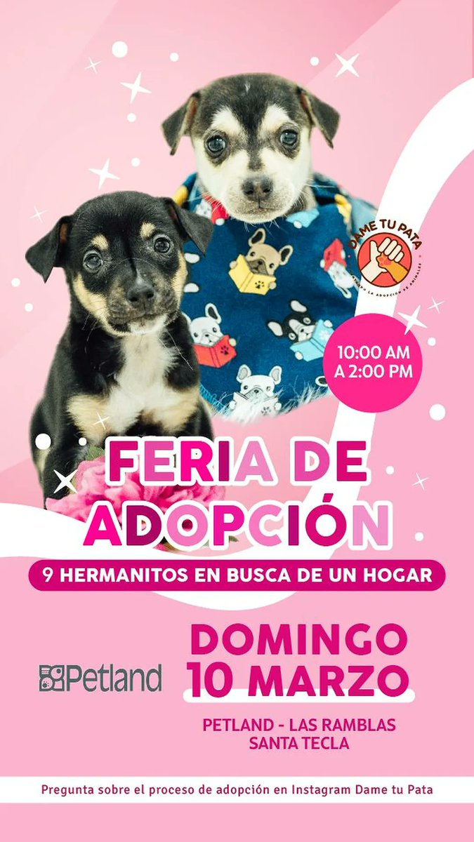 Beryz10's tweet photo. RT👇
Una excelente opción si desean abrir las puertas de su casa y corazón a un perrito rescatado 🐾 https://t.co/htLwVwfshS