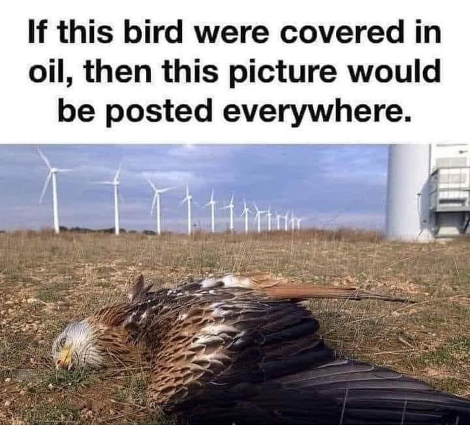 Rothmus 🏴 (@rothmus) on Twitter photo 