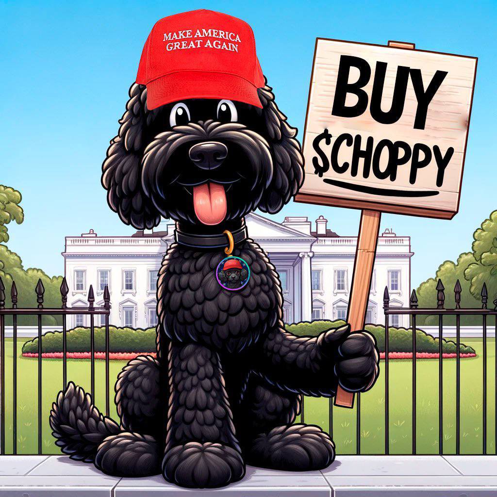 dumuuc86's tweet photo. @travladd Hey Travlad

 Don’t fade first Trump dog token
Currently at $1M

$CHOPPY #TRUMP
#MAGADOG

https://t.co/dFIQW8SHSM… https://t.co/tYB1tgYne8