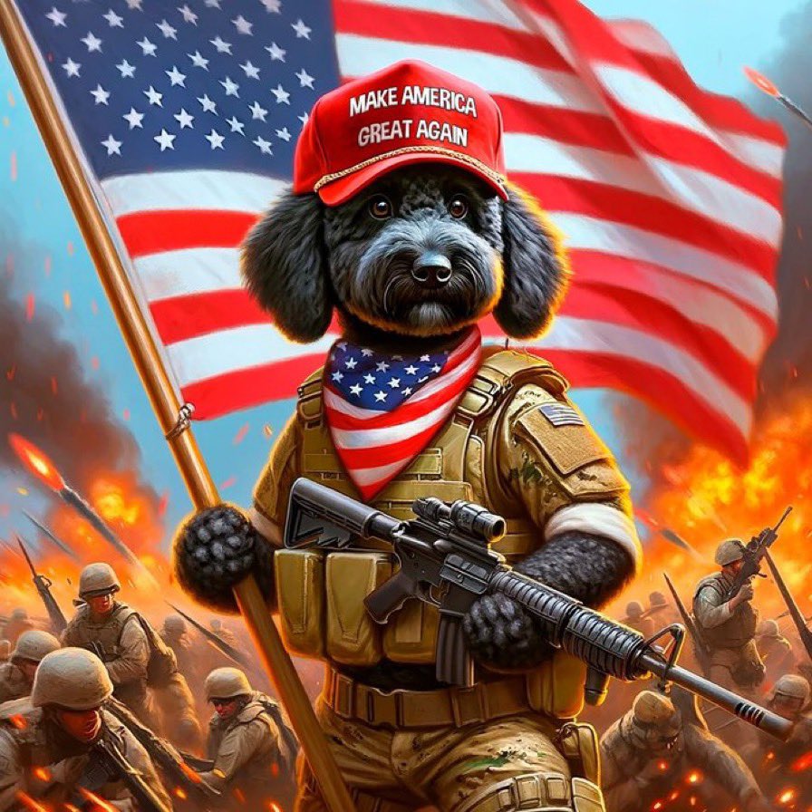 dumuuc86's tweet photo. @travladd Hey Travlad

 Don’t fade first Trump dog token
Currently at $1M

$CHOPPY #TRUMP
#MAGADOG

https://t.co/dFIQW8SHSM… https://t.co/tYB1tgYne8