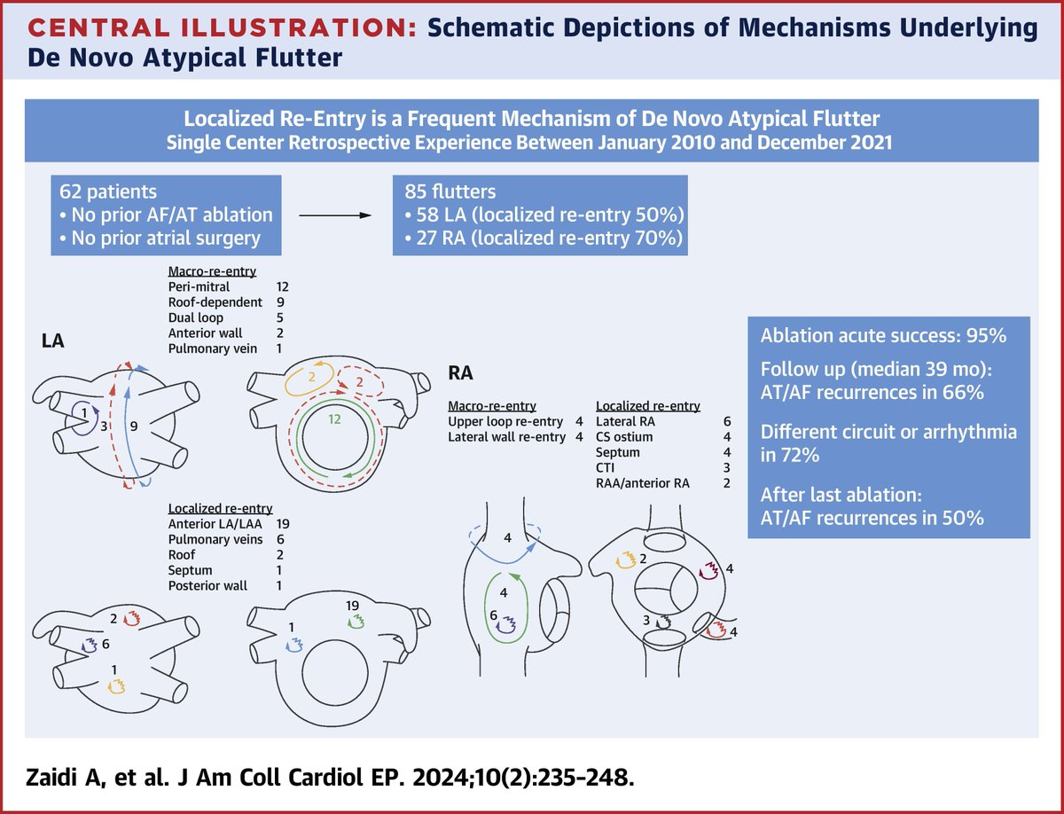 Atypical atrial flutters in pts w/out prior surgery or complex ablation are often due to localized re-entry. Other ATs commonly occur during long-term follow-up following ablation, suggesting progressive atrial myopathy in these pts. bit.ly/3VaDasL

#JACCCEP #epAblation