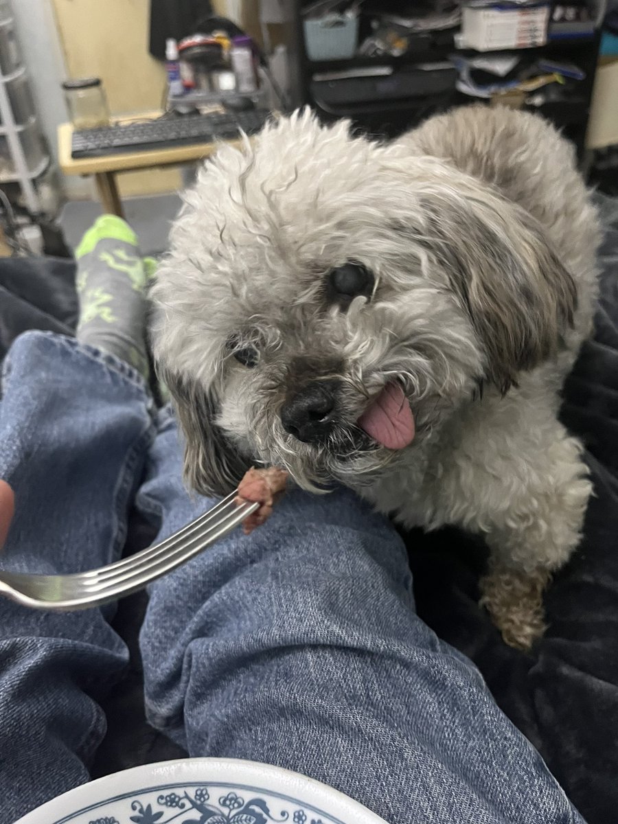 silverwolf1977's tweet photo. I’m sorry to those I always meant to introduce you but never managed to find time. We’re probably not going to have a chance to make up for that because Mom is also in hospital for her mental issues so making sure she’s being taken care of and visiting her is also taking up time. https://t.co/iuukN6nY3d