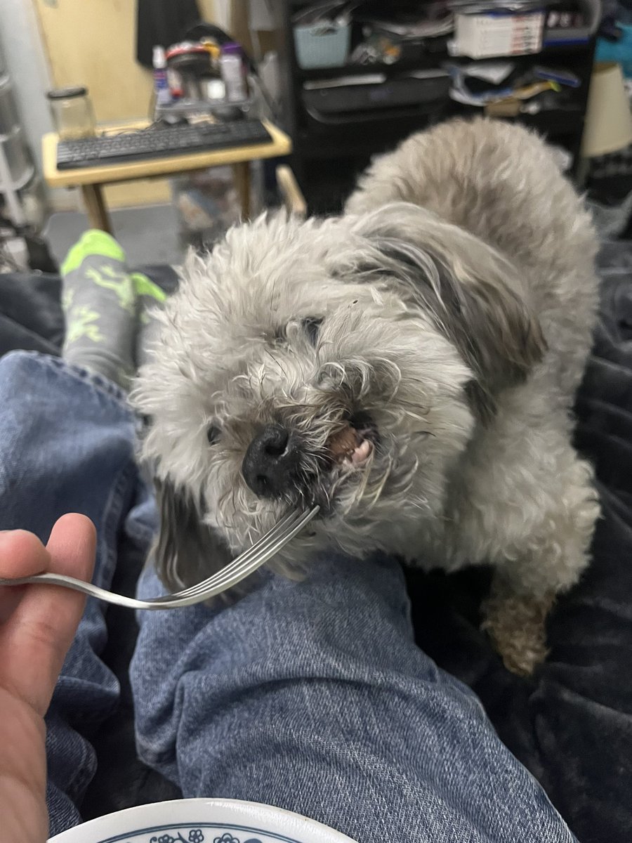 silverwolf1977's tweet photo. I’m sorry to those I always meant to introduce you but never managed to find time. We’re probably not going to have a chance to make up for that because Mom is also in hospital for her mental issues so making sure she’s being taken care of and visiting her is also taking up time. https://t.co/iuukN6nY3d