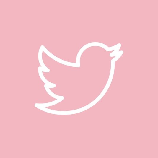 evelyn tweet media