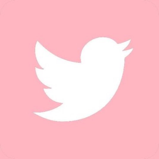 evelyn tweet media