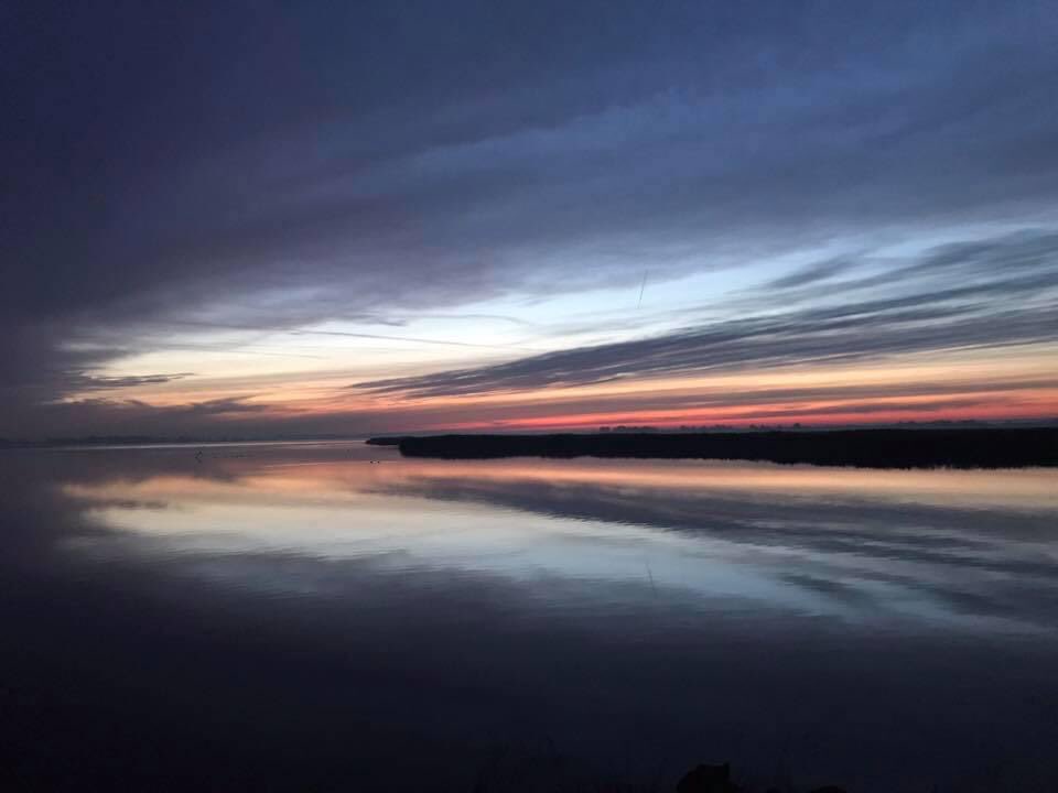 Kor Berghuis tweet media