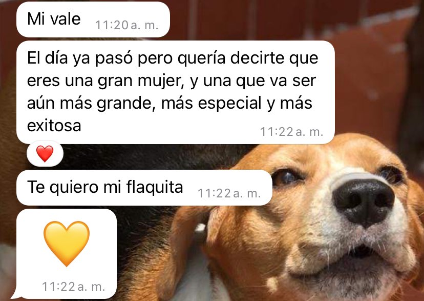 Val_Villa10's tweet photo. Lo amooo https://t.co/iEGteMf78U