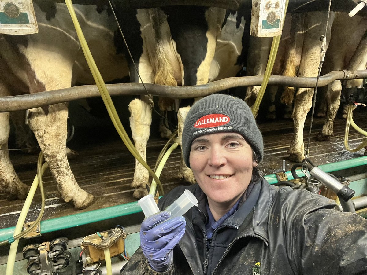AbiReader's tweet photo. There is life after 5.5k wellies 🤣🤪💪
#farm24 #BootsToTheSenedd https://t.co/su2mhPP7W3