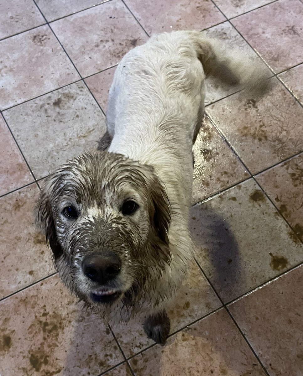 Filomena 🎗🇧🇪🇫🇷 tweet media